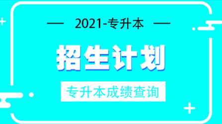 2020南京财经大学红山学院专转本招生计划专业(扩招后)