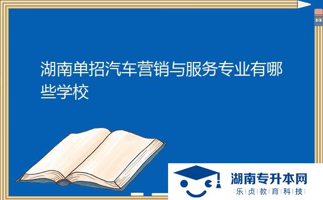 湖南单招汽车营销与服务专业有哪些学校
