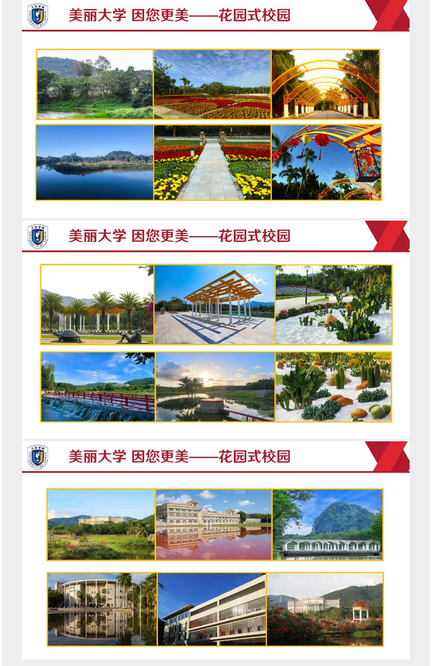 2023年三亚学院高职（专科）升本科招生简章公布！(图11)