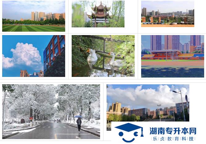 湖南机电职业技术学院2022年单招简章