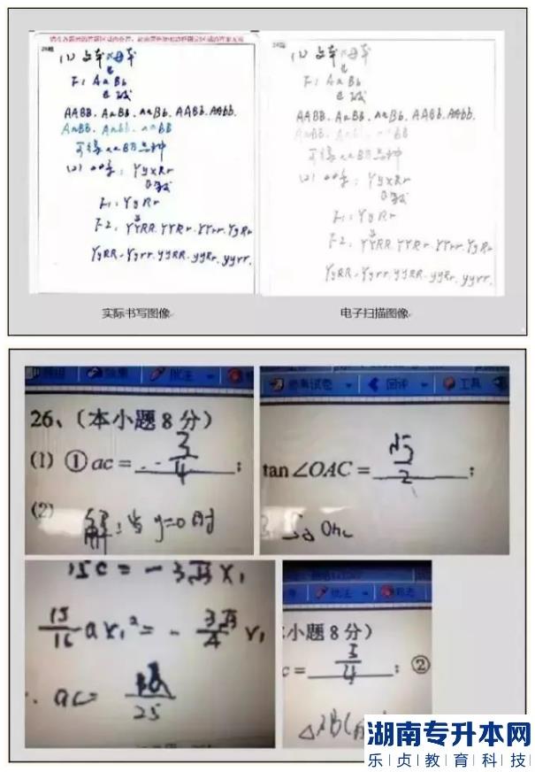 江苏2023年专转本考试答题卡样式及填涂注意事项(图5)
