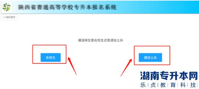 陕西2023年统招专升本网上报名操作步骤详解(图4)