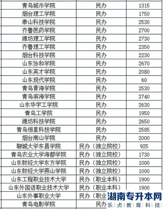 山东2023年专升本民办院校招生计划(图2)