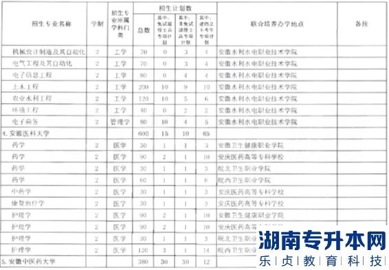 安徽省2023年专升本分校分专业招生计划表(图4)