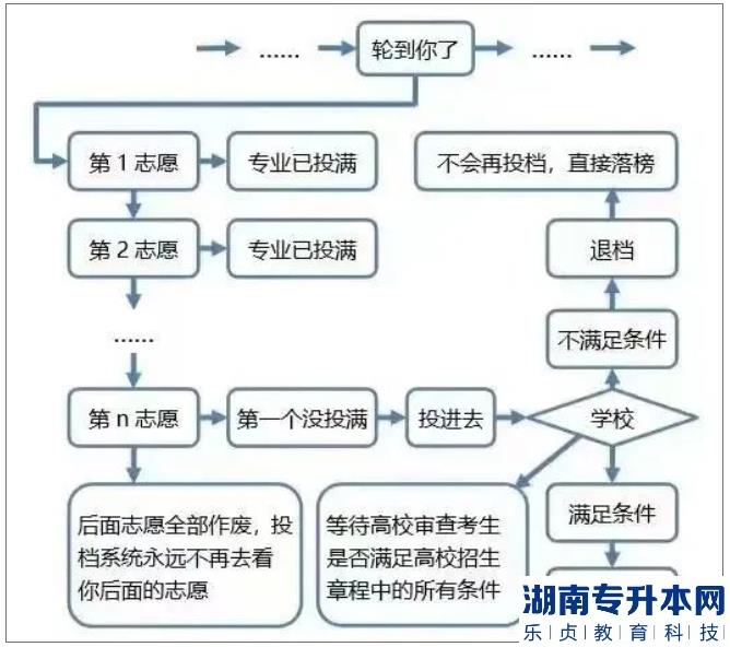 广东专升本录取流程图2023