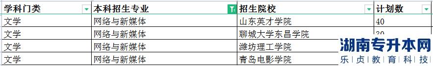 2023年山东专升本网络与新媒体招生学校及计划