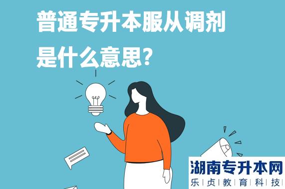 专升本服从调剂什么意思？