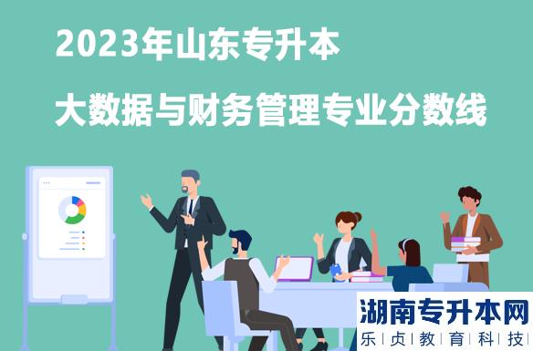 2023年山东专升本大数据与财务管理专业分数线