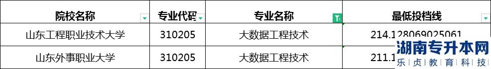 2023年山东专升本大数据工程技术专业最低投档分数线