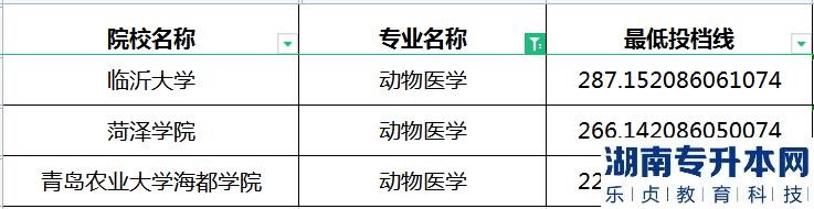2023年山东专升本动物医学专业最低投档分数线