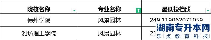 2023年山东专升本风景园林专业最低投档分数线