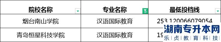 2023年山东专升本汉语国际教育专业最低投档分数线