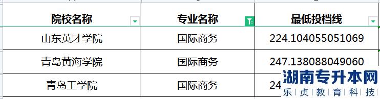 2023年山东专升本国际商务专业最低投档分数线