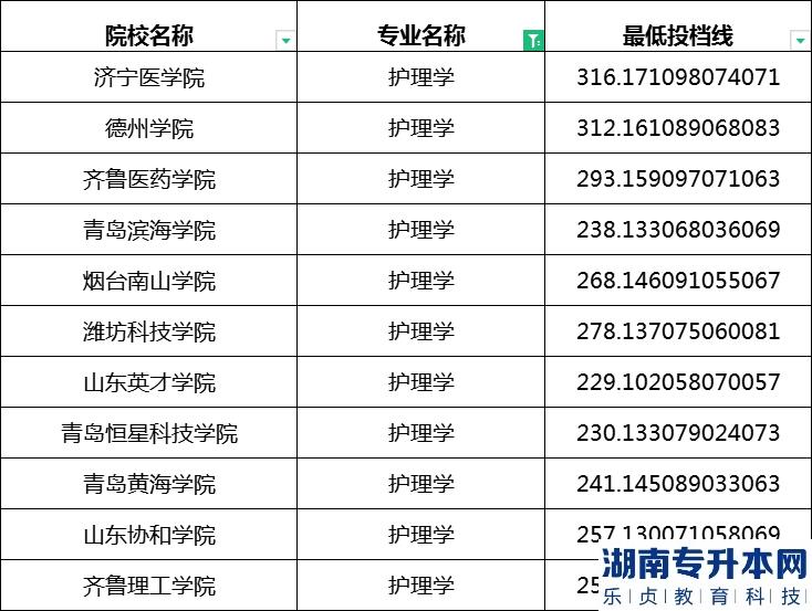 2023年山东专升本护理学专业最低投档分数线
