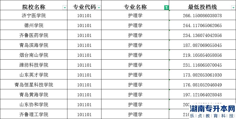 2023年山东专升本护理学建档立卡投档分数线
