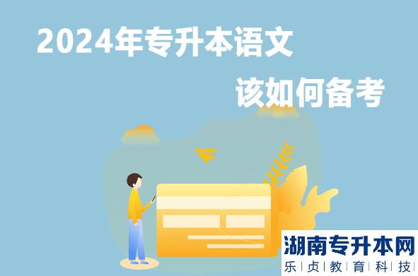 2024年专升本语文该如何备考