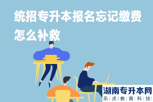 统招专升本报名忘记缴费怎么补救