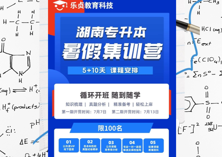 【已结束】乐贞教育科技24年暑假集训营开营啦