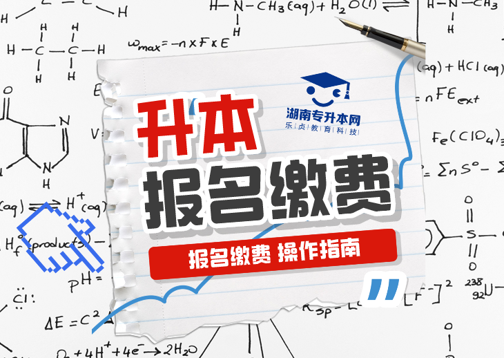 关于做好2025年普通高校专升本考试招生报名工作的通知