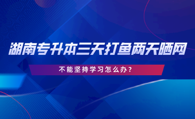 2024年湖南专升本三天打鱼两天晒网，不能坚持学习怎么办.png