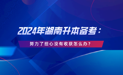 2024年湖南升本备考：努力了担心没有收获怎么办.png