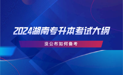 2024湖南专升本考试大纲没公布如何备考.png