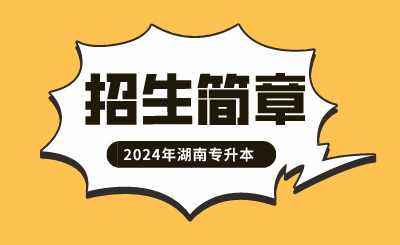 2024年湖南涉外经济学院专升本招生简章