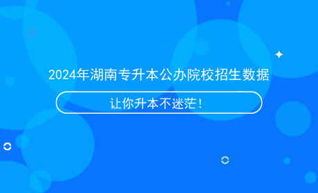 2024年湖南专升本公办院校招生数据.png