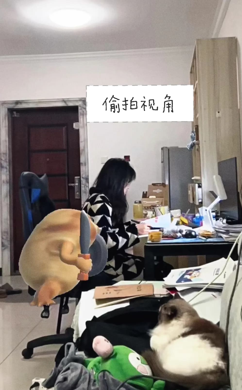 420分专业第一上岸!湖南工程学院电子商务专升本,她是怎么做到的?(图3) 3胡雨婷.jpg