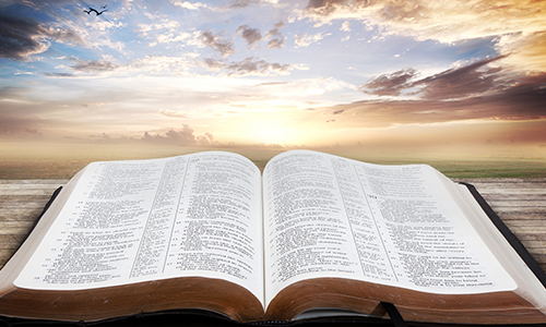 金华自考本科哪家好?(图1) 金华自考本科哪家好?(图1)