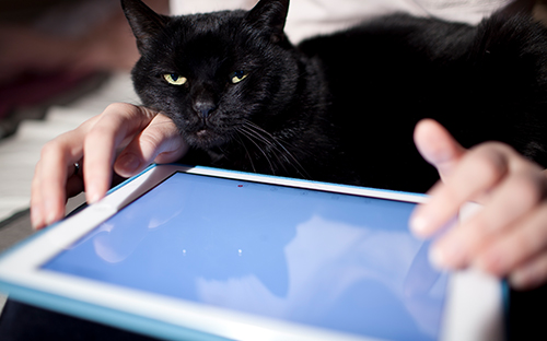 自考在哪上？(图1)