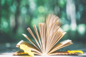 深圳自考学校有哪些?