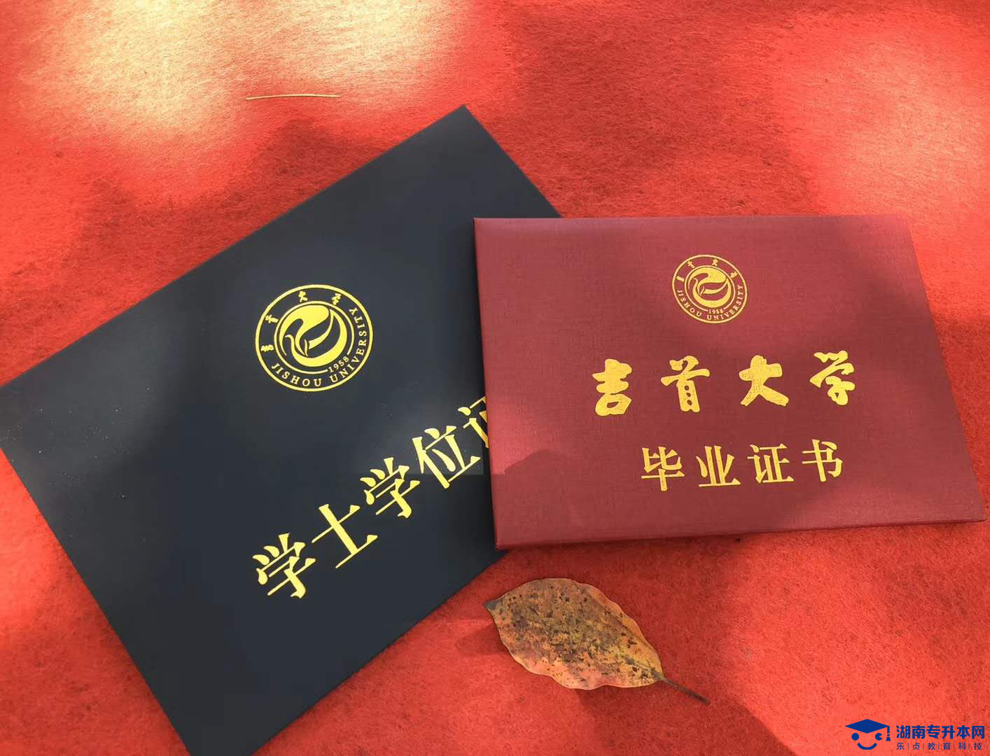 湖南农业大学2022年专升本招生章程