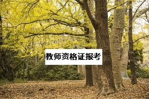2020年扩招，对于想报考教师资格证的专升本考生有何好处？