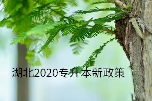 湖南2020专升本新政策有哪些？湖南专升本网告诉你
