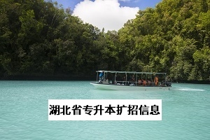 湖南省专升本招生规模将扩大2倍？扩招究竟能不能提高录取率？