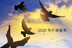 敲重点!专升本学生的学籍档案要怎么处理?