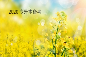 中专?单招?退役军人?这些同学能报考统招专升本吗?