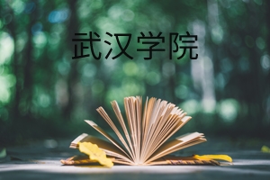 武汉学院2019年普通专升本成绩查询通知