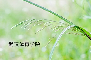 武汉体育学院2019年专升本拟录取名单公示