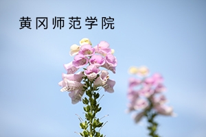 黄冈师范学院2019年普通专升本招生简章：招生计划及报考流程