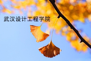 武汉设计工程学院2019年普通专升本：招生计划及录取规则