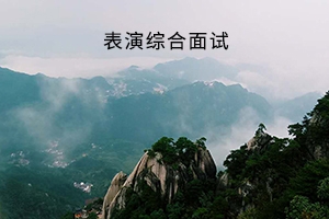 武汉设计工程学院普通专升本《表演综合面试》考试大纲