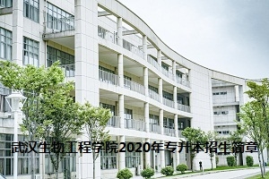 武汉生物工程学院2020年专升本招生简章:招生计划及考试科目