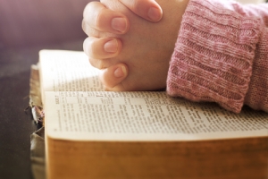 四川自考成绩如何查询？