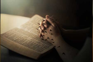 自考中国古代小说研究学什么？