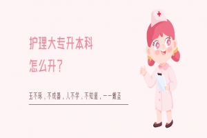 护理大专升本科怎么升