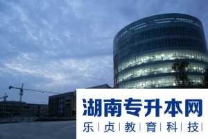 2021年湖南专升本绘画专业有哪些学校