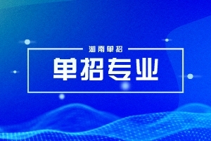 2024年湖南单招船舶工程技术专业有哪些学校