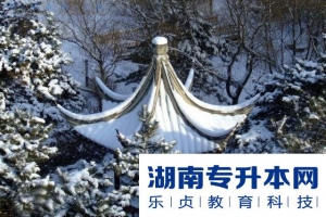 考研政治答题5大模板,你都了解吗?